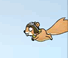 Fly Squirrel Fly