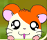 Hamtaro