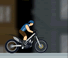 King of Bikes