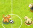 Pet Soccer